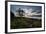 A Tree and Foliage on Rock on Baleia Beach at Sunset-Alex Saberi-Framed Photographic Print