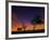 A Tree at Night with an Orange and Purple Sky-Alex Saberi-Framed Photographic Print