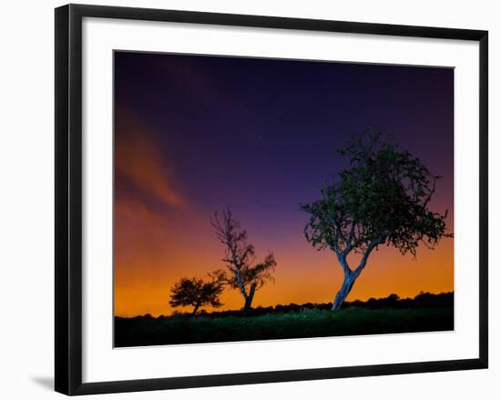 A Tree at Night with an Orange and Purple Sky-Alex Saberi-Framed Photographic Print