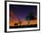 A Tree at Night with an Orange and Purple Sky-Alex Saberi-Framed Photographic Print