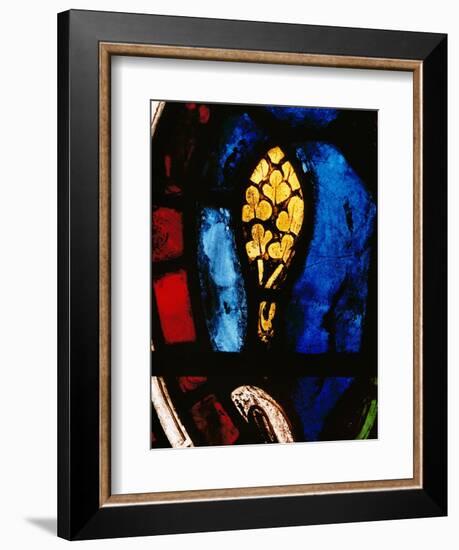 A Tree Emerges from the Flood, Stained Glass-null-Framed Giclee Print