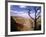 A Tree Frames a Spectacular View of Arizona's Grand Canyon-null-Framed Photographic Print