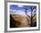 A Tree Frames a Spectacular View of Arizona's Grand Canyon-null-Framed Photographic Print