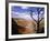 A Tree Frames a Spectacular View of Arizona's Grand Canyon-null-Framed Photographic Print