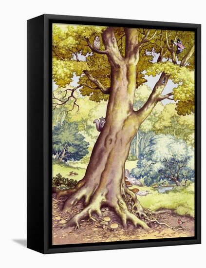 A Tree Full of Wildlife-Pat Nicolle-Framed Premier Image Canvas