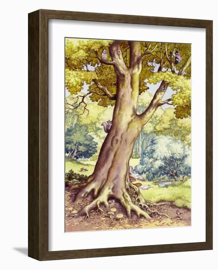 A Tree Full of Wildlife-Pat Nicolle-Framed Giclee Print