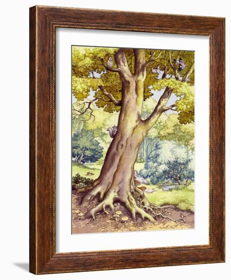 A Tree Full of Wildlife-Pat Nicolle-Framed Giclee Print