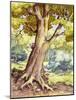 A Tree Full of Wildlife-Pat Nicolle-Mounted Giclee Print