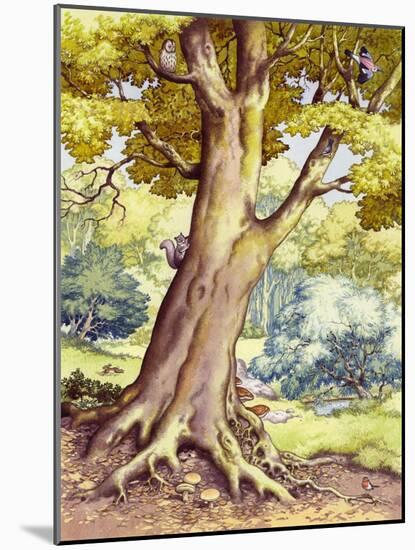 A Tree Full of Wildlife-Pat Nicolle-Mounted Giclee Print