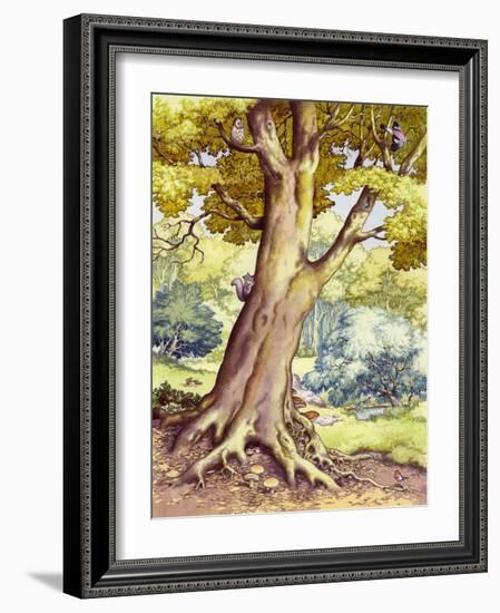 A Tree Full of Wildlife-Pat Nicolle-Framed Giclee Print