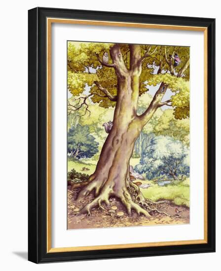 A Tree Full of Wildlife-Pat Nicolle-Framed Giclee Print