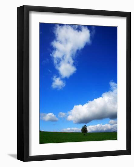 A Tree in the Meadow-null-Framed Photographic Print