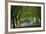 A Tree-Lined Avenue in Clifton, Bristol, England, United Kingdom, Europe-Nigel Hicks-Framed Photographic Print