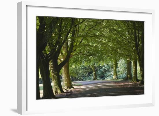 A Tree-Lined Avenue in Clifton, Bristol, England, United Kingdom, Europe-Nigel Hicks-Framed Photographic Print