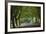 A Tree-Lined Avenue in Clifton, Bristol, England, United Kingdom, Europe-Nigel Hicks-Framed Photographic Print