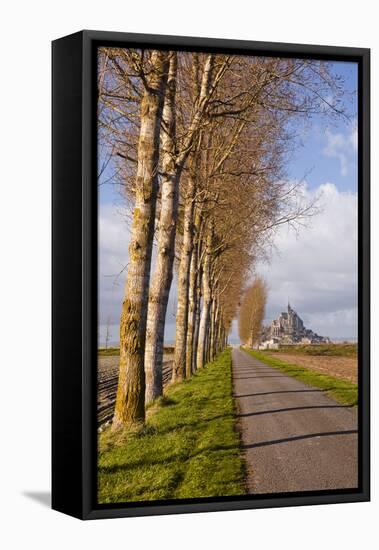 A Tree Lined Avenue Leads Towards Mont Saint Michel, UNESCO World Heritage Site, Normandy, France-Julian Elliott-Framed Premier Image Canvas