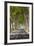 A Tree-Lined Road, Languedoc-Roussillon, France-Nadia Isakova-Framed Photographic Print