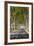 A Tree-Lined Road, Languedoc-Roussillon, France-Nadia Isakova-Framed Photographic Print