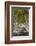 A Tree-Lined Road, Languedoc-Roussillon, France-Nadia Isakova-Framed Photographic Print