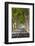 A Tree-Lined Road, Languedoc-Roussillon, France-Nadia Isakova-Framed Photographic Print