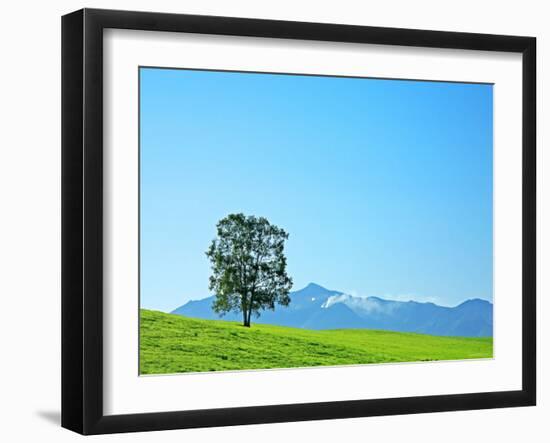 A Tree on the Hill-null-Framed Photographic Print