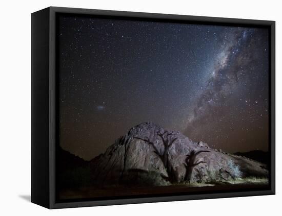 A Tree Shadow at Night under a Starry Sky with the Milky Way in the Namib Desert-Alex Saberi-Framed Premier Image Canvas