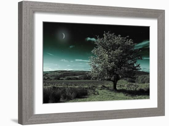 A Tree under a Night Sky-Mark Gemmell-Framed Photographic Print