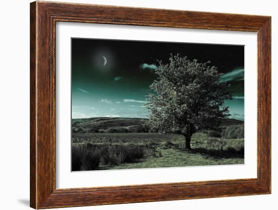 A Tree under a Night Sky-Mark Gemmell-Framed Photographic Print