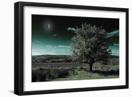 A Tree under a Night Sky-Mark Gemmell-Framed Photographic Print