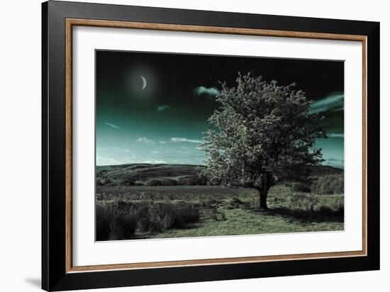 A Tree under a Night Sky-Mark Gemmell-Framed Photographic Print