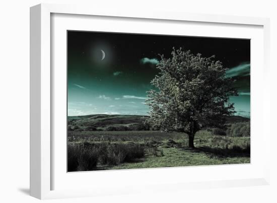 A Tree under a Night Sky-Mark Gemmell-Framed Photographic Print