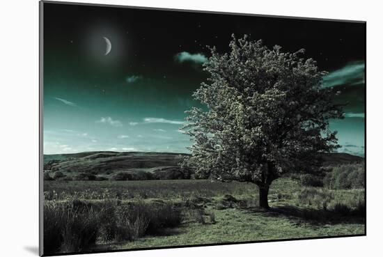 A Tree under a Night Sky-Mark Gemmell-Mounted Photographic Print