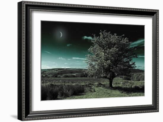 A Tree under a Night Sky-Mark Gemmell-Framed Photographic Print