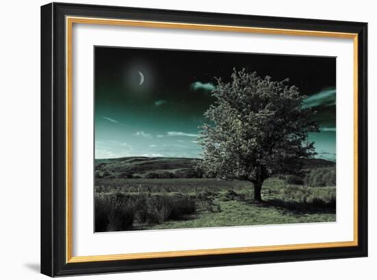 A Tree under a Night Sky-Mark Gemmell-Framed Photographic Print