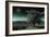 A Tree under a Night Sky-Mark Gemmell-Framed Photographic Print