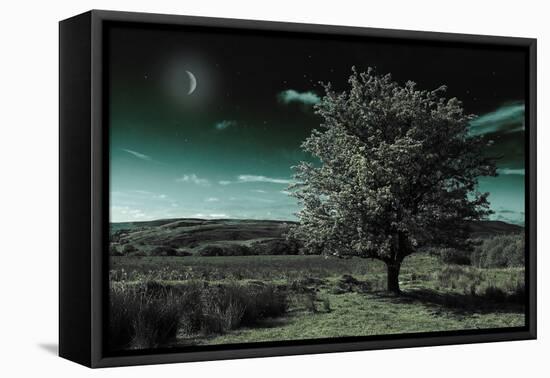 A Tree under a Night Sky-Mark Gemmell-Framed Premier Image Canvas