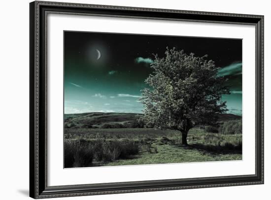 A Tree under a Night Sky-Mark Gemmell-Framed Photographic Print