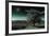 A Tree under a Night Sky-Mark Gemmell-Framed Photographic Print