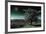 A Tree under a Night Sky-Mark Gemmell-Framed Photographic Print