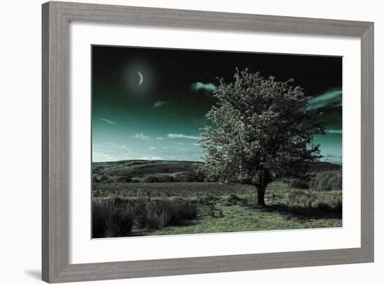 A Tree under a Night Sky-Mark Gemmell-Framed Photographic Print