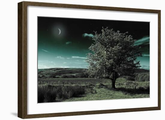 A Tree under a Night Sky-Mark Gemmell-Framed Photographic Print