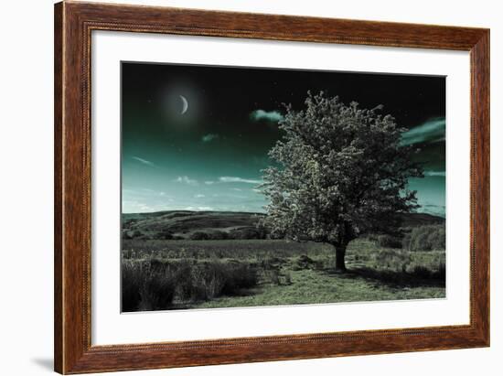 A Tree under a Night Sky-Mark Gemmell-Framed Photographic Print