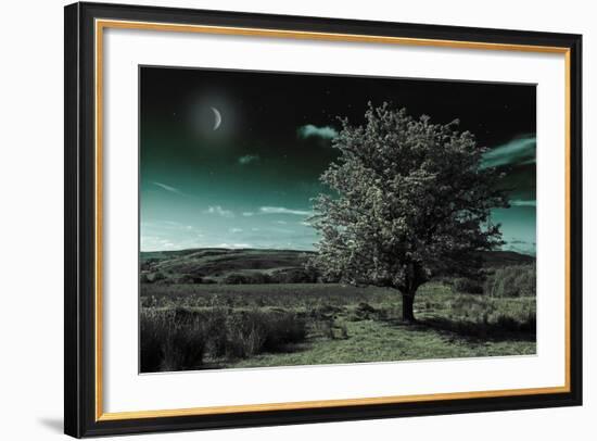 A Tree under a Night Sky-Mark Gemmell-Framed Photographic Print