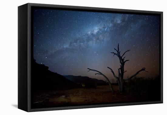 A Tree under a Starry Sky, with the Milky Way in the Namib Desert, Namibia-Alex Saberi-Framed Premier Image Canvas