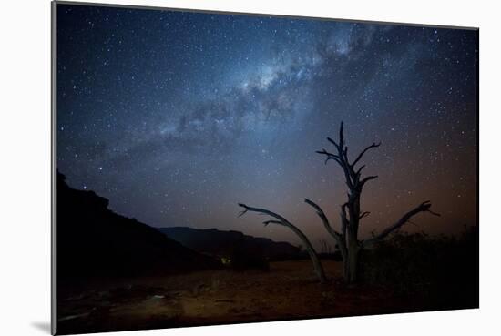 A Tree under a Starry Sky, with the Milky Way in the Namib Desert, Namibia-Alex Saberi-Mounted Photographic Print