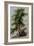 A Tree with Two Birds Perching on a Branch-Paul Brill or Bril-Framed Giclee Print