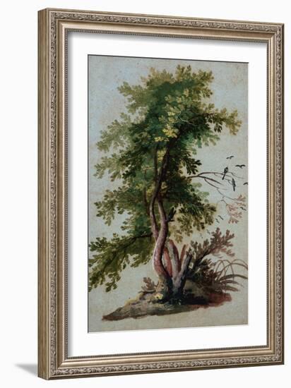 A Tree with Two Birds Perching on a Branch-Paul Brill or Bril-Framed Giclee Print