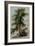 A Tree with Two Birds Perching on a Branch-Paul Brill or Bril-Framed Giclee Print