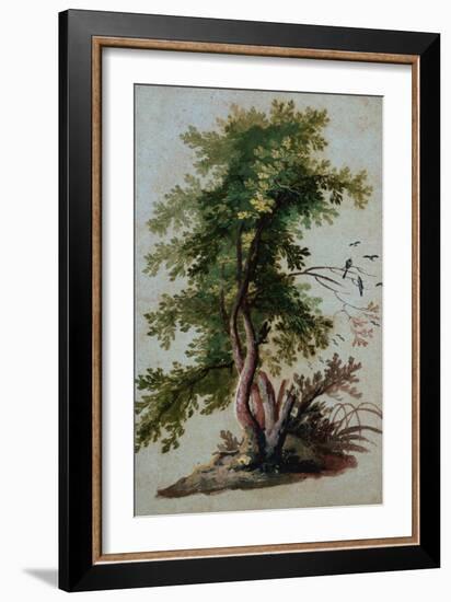 A Tree with Two Birds Perching on a Branch-Paul Brill or Bril-Framed Giclee Print