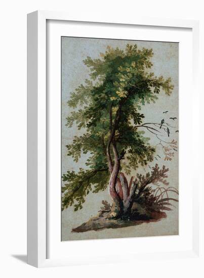 A Tree with Two Birds Perching on a Branch-Paul Brill or Bril-Framed Giclee Print